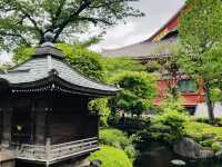 วัด Asakusa ยามเช้า บรรยากาศเงียบสงบ ชิลๆ สบายๆ