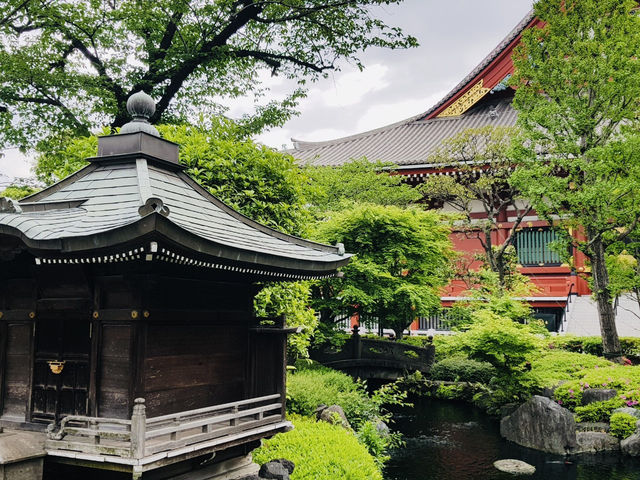 วัด Asakusa ยามเช้า บรรยากาศเงียบสงบ ชิลๆ สบายๆ
