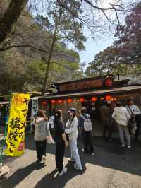 千穗の家元祖流水麵初體驗