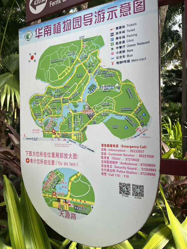 싱그러운 광저우 화남식물원을 가보셨나요? 🌸🌴
