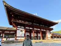 Grand mystical and aesthetic gates 
