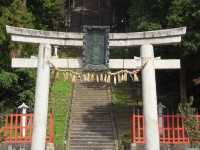 Chasing Sakura at Shiwahiko and Shiogama Shrines