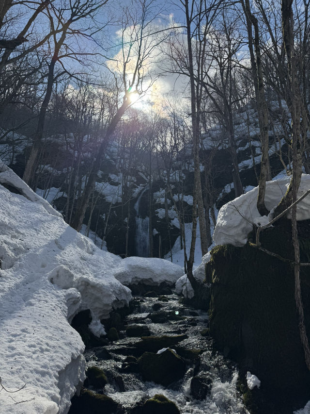 享受冬季尾聲的奧入瀨溪流 — 寧靜美