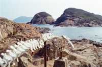 The Oldest Lighthouse of Hong Kong