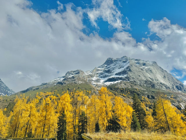  ภูเขา 4 ดรุณี (Siguniangshan, 四姑娘山) 🇨🇳