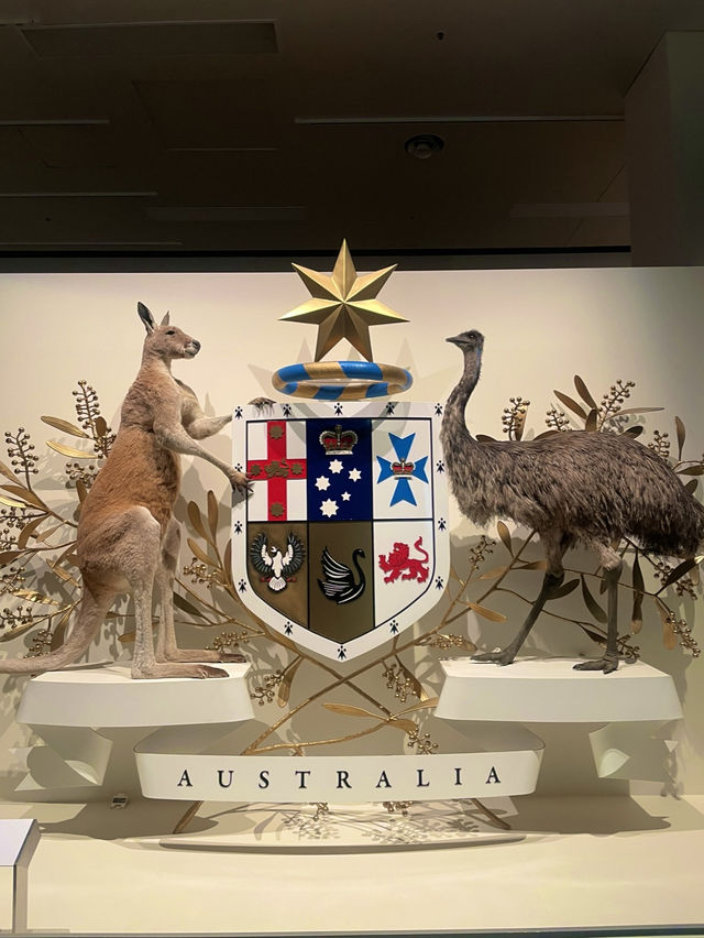 【メルボルンの歴史と自然を体感「Melbourne Museum」🦖✨】