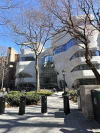 American Museum of Natural History