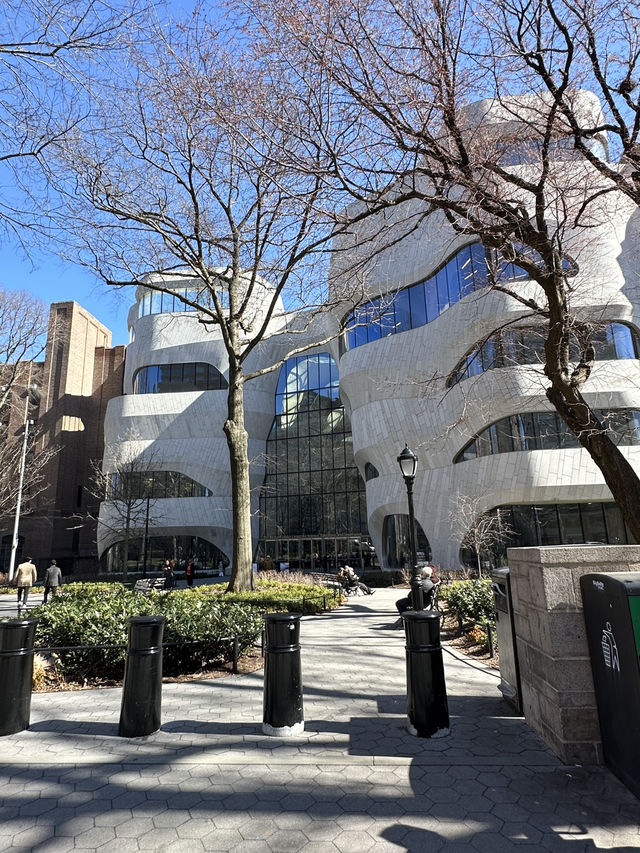 American Museum of Natural History