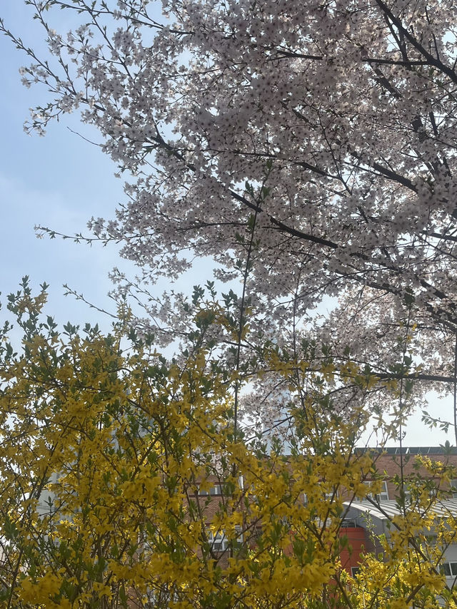 석촌호수말고 여기가세요!