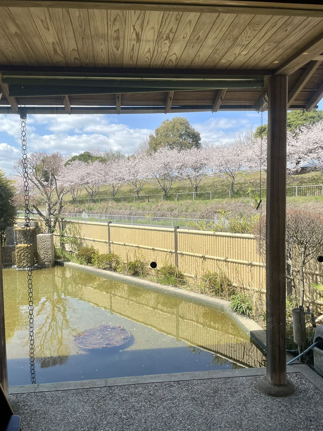 【佐賀グルメ】佐賀で自然薯食べるならここに行ってみて