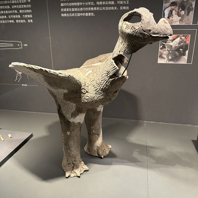 穿越千年文明：探索陝西考古博物館的瑰寶