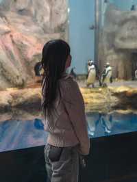 신비스러운 물속 데이트코스..🐠🐟💕