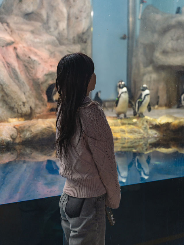 신비스러운 물속 데이트코스..🐠🐟💕