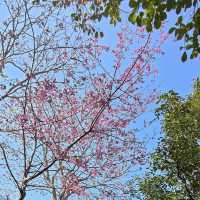 新社古堡莊園