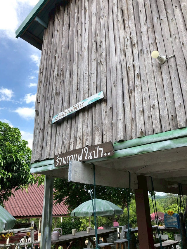 ร้านกาแฟในป่า บ้านไร่ใบเฟิร์น⛰️