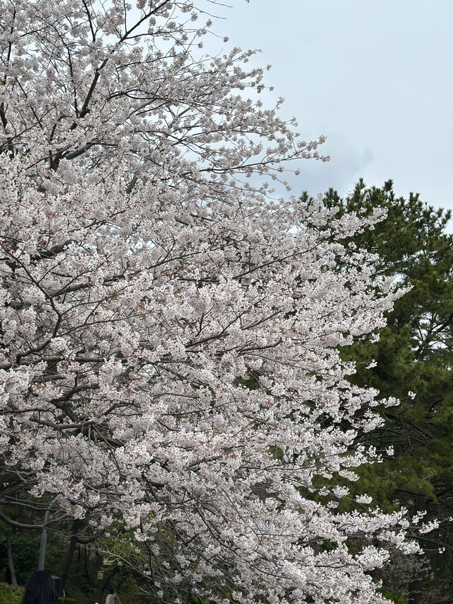 알차게 즐기는 부산여행 2박3일 
