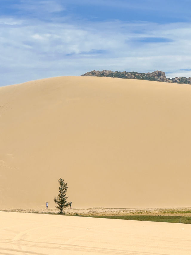 지프차타고 떠난 사막투어🏜️🌵🏝️