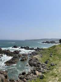 【青森× 葦毛崎展望台】美しい海岸線、激しい波、海の景色が見られます！