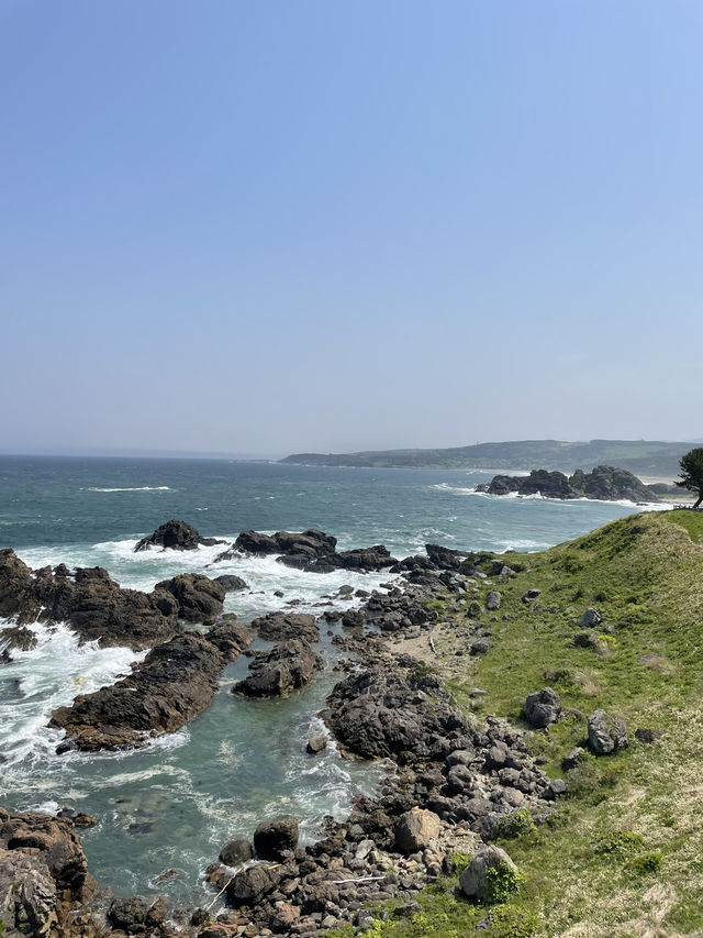 【青森× 葦毛崎展望台】美しい海岸線、激しい波、海の景色が見られます！
