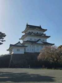 Odawara Castle Park, Kanagawa