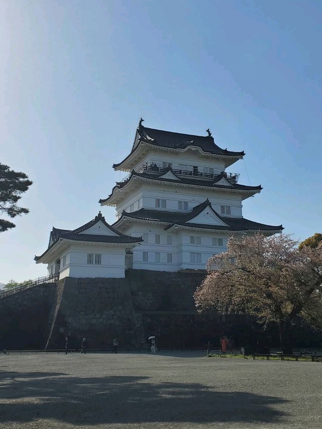 Odawara Castle Park, Kanagawa