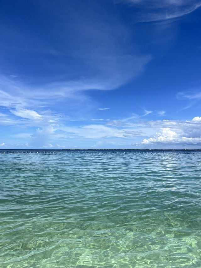 セブ島での1日のスケジュール！🗓️✨✨