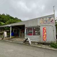 【石垣島】 ジャングルの中を探検