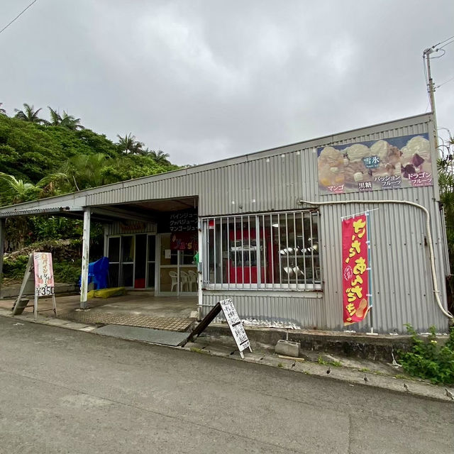 【石垣島】 ジャングルの中を探検