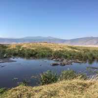 Mandusi Hippo Pool｜坦尚尼亞