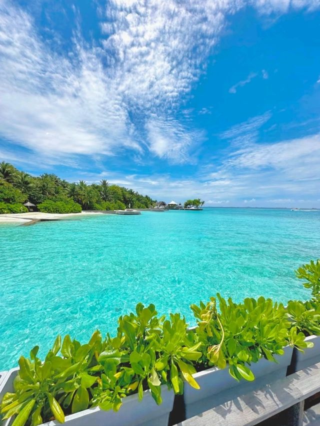 Maldives Bliss: Where Every Moment Feels Like Magic
