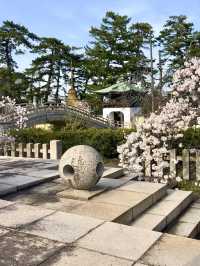 Spring Serenity at Zentsuji Temple