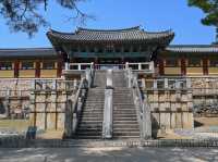 “Bulguksa Temple: Where Cherry Blossoms Embrace Timeless Tranquility”