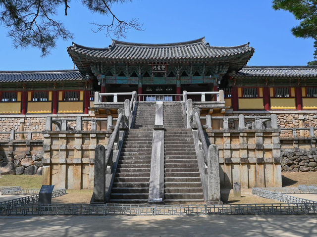 “Bulguksa Temple: Where Cherry Blossoms Embrace Timeless Tranquility”
