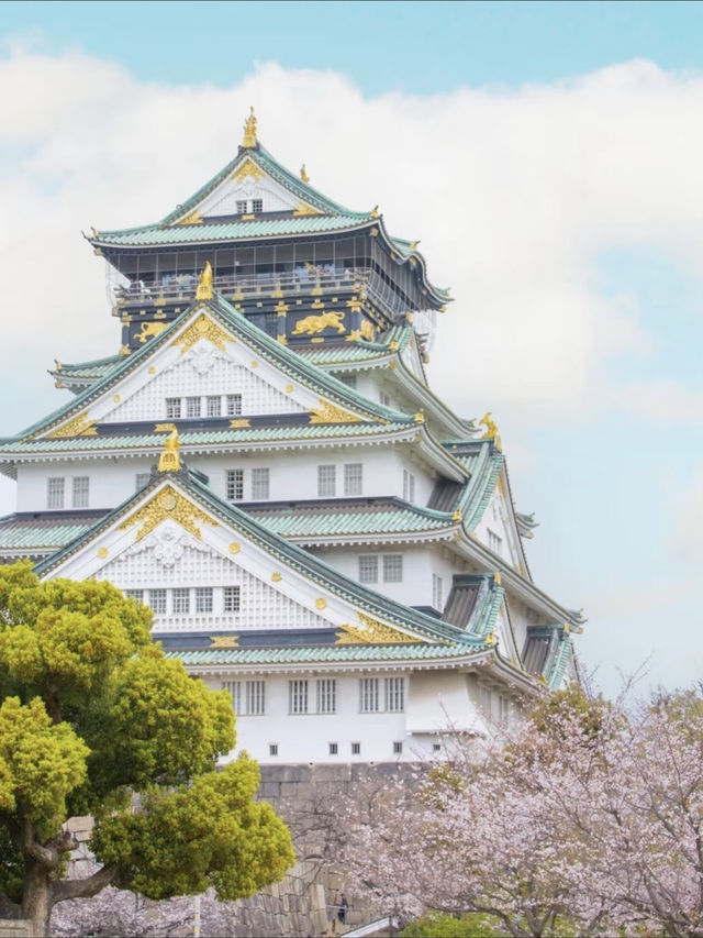 Osaka Castle Cherry Blossoms in Full Bloom! It’s Absolutely Romantic...