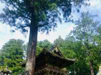 Toshogu Shrine – Nikko, Japan