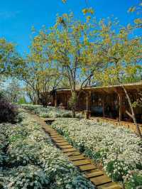 Persimmon Cafe in Dalat