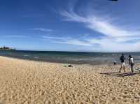 Discover the beauty of Melbourne Brighton Beach