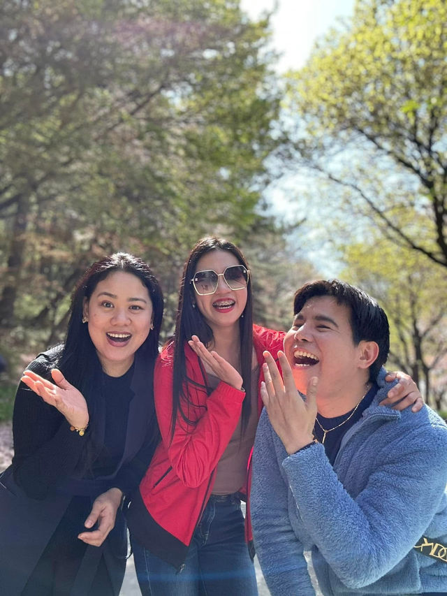 Scenic Spots in Suwon for Sakura Viewing!