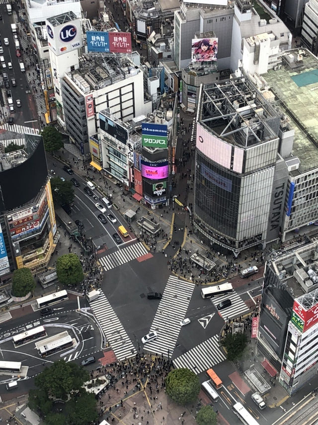 🗼 도쿄 긴자-시부야 필수 코스 추천 ✨ 도쿄 감성 제대로 느끼는 하루 코스 💡