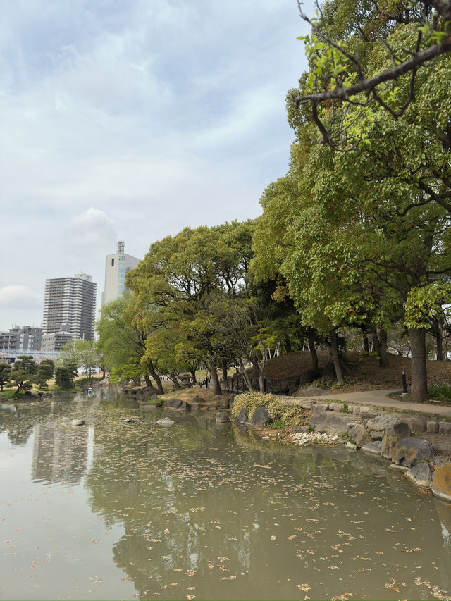 東京｜牛嶋神社的櫻花魅力