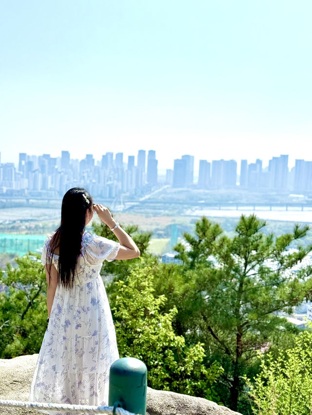 Beautiful Scenery at Top of the Mountain