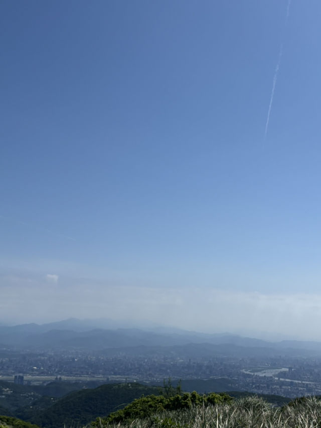 風從草原來——陽明山擎天崗的緩步與遠望