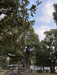 【黄昏時の日比谷公園と日比谷松本楼を歩いて】