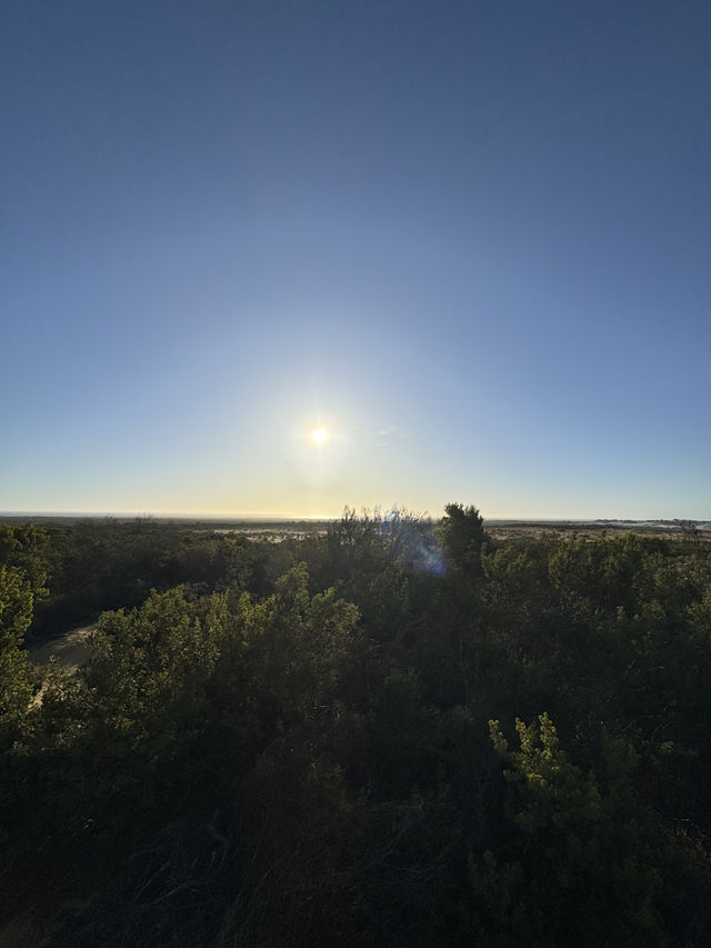 Pinnacle of our trip - The pinnacles in perth! ⛰️