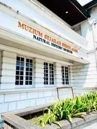 Explore Borneo’s Wild Wonders at the Natural History Museum