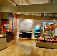 Brighton Museum & Art Gallery