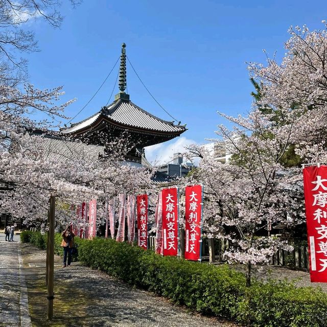 Serenity and Blossoms at Hompō-ji Temple