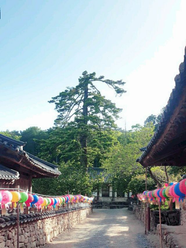 단아한 천년고찰 순천 선암사