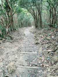 香港行山好去處｜渣甸山