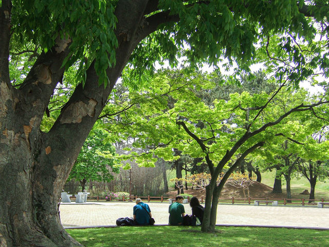 【경주 겹벚꽃】벚꽃 터널 속 1박 2일 감성 여행🌸